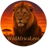 WildAfricaLens's profile picture
