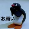 seol's profile picture