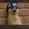 Aremu David's profile picture