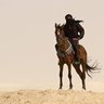 ابوعلي الشريف الشريف🇾🇪 profil fotoğrafı