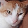 flaviano profil fotoğrafı