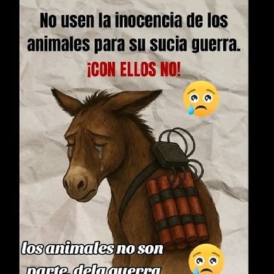 el bebé malo's profile picture