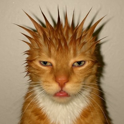 gatinho punk marchará dia 20's profile picture