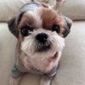 콩이형아's profile picture