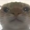 Profilbild von wangzaiQQtang