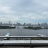 M 的头像