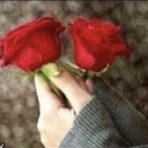 حيــاة السليمان🌹's profile picture