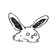 kuuurusuke's profile picture