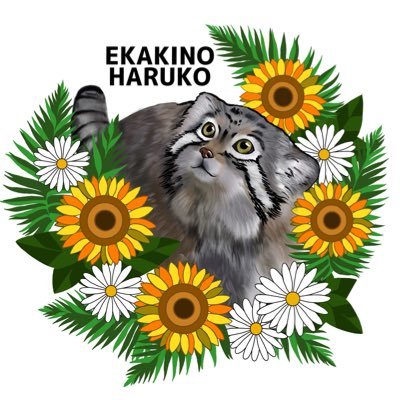 えかきのはるこ's profile picture