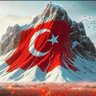 Kutadgu Bilig1064🇹🇷 的头像