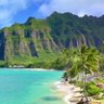 Save our planet 的头像