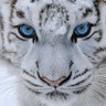 Profilbild von Dav.GB