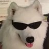 whtt_0. profil fotoğrafı