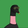 Profilbild von Flawda Frog