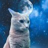CyclicJedi's profile picture