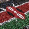 Sibi Okumu Wanyoike🇰🇪🇰🇪🇰🇪's profile picture