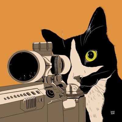 Younès Erraki 🇩🇿's profile picture