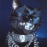 sw1sh's profile picture