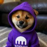 Pobre investidor de DOG's profile picture