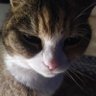 Takaona167 profil fotoğrafı