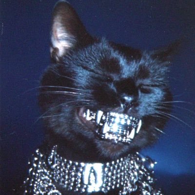 SwaqqedToo's profile picture