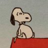 Profilbild von username ᵉᶜᵛ