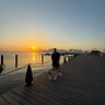Fergal profil fotoğrafı