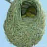 Фото профиля ابوقصي السكسكي