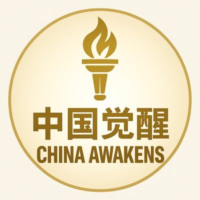 中国觉醒 · China Awakens's profile picture