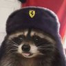 Ari the Raccoon ⁴¹ ⭐⁸¹ 🐝 的头像