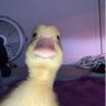 Jo's profile picture