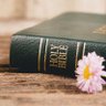 Фото профиля BibleTruth