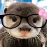 vvの神父's profile picture
