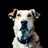 Loukanikos's profile picture