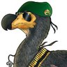 Profilbild von Castro777