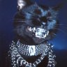 Cheshire's profile picture