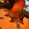 Daxton Romero profil fotoğrafı