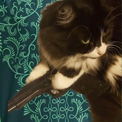 Faiza_etmoi's profile picture