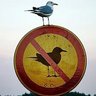 Justin D. Hein's profile picture