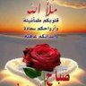 النورس profil fotoğrafı