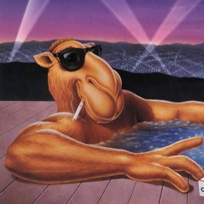 Gabriel Lorenzo Greschler's profile picture