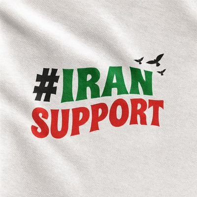 iransupportt's profile picture