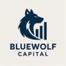 Profilbild von BlueWolf Capital
