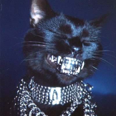he_luvsbunni's profile picture