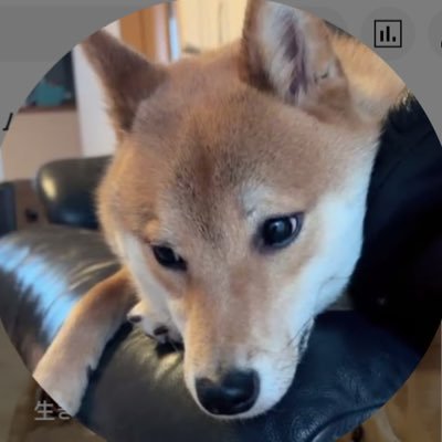 pontaunita's profile picture