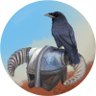 Jerky profil fotoğrafı