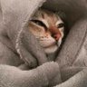 。 profil fotoğrafı