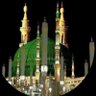 Profilbild von Dalia Saliheen