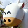 Profilbild von ぽむぽむ