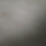 EROS's profile picture